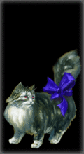 GHOST of cat [7]