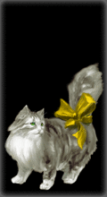 Miaoo [0]