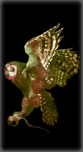 fjodor [2]